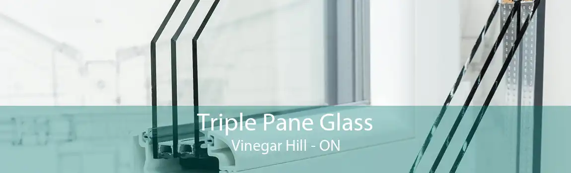Triple Pane Glass Vinegar Hill - ON