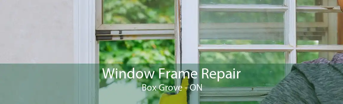 Window Frame Repair Box Grove - ON