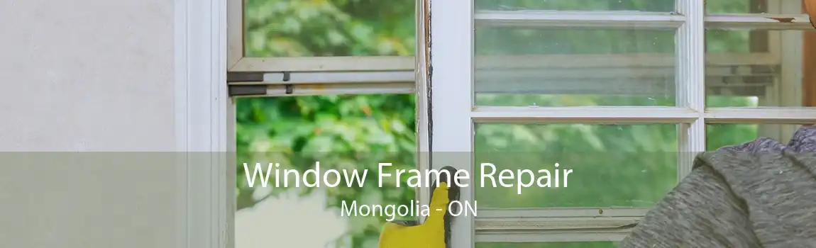 Window Frame Repair Mongolia - ON