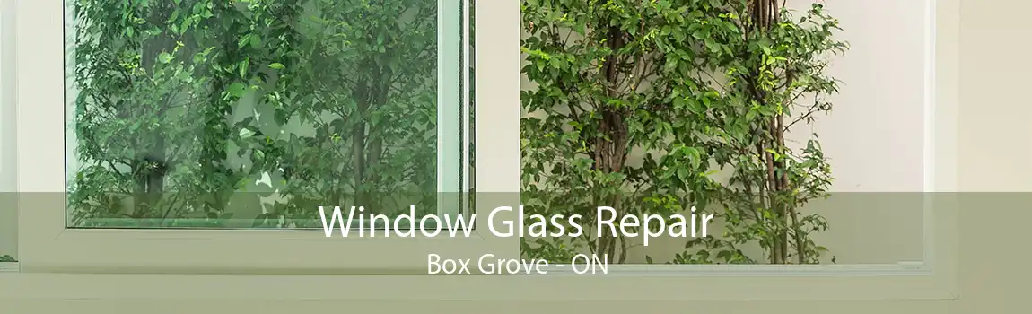 Window Glass Repair Box Grove - ON