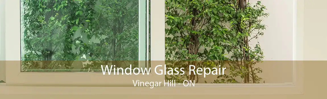 Window Glass Repair Vinegar Hill - ON