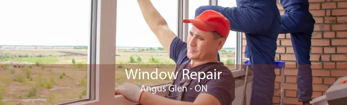 Window Repair Angus Glen - ON