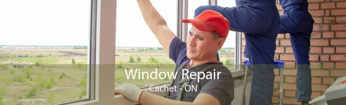 Window Repair Cachet - ON