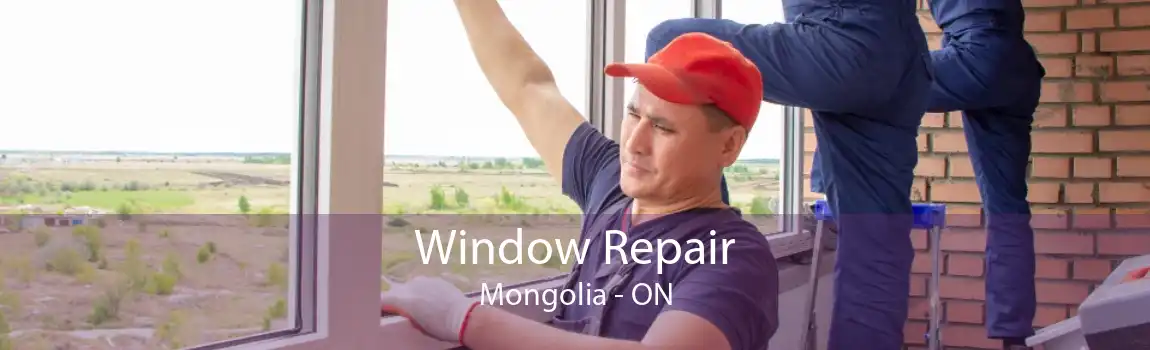 Window Repair Mongolia - ON