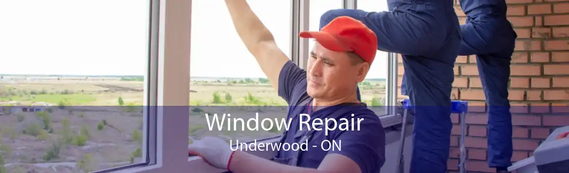 Window Repair Underwood - ON