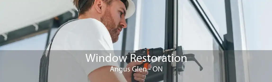Window Restoration Angus Glen - ON