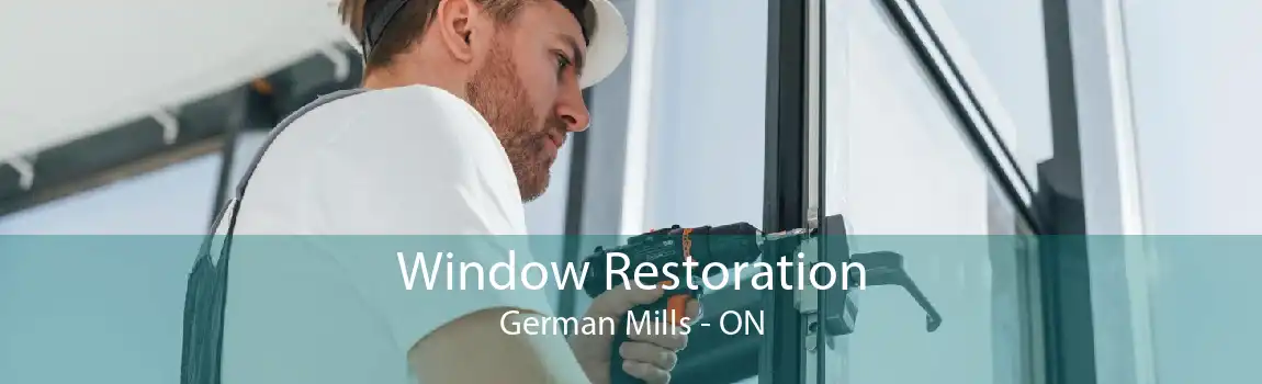 Window Restoration German Mills - ON