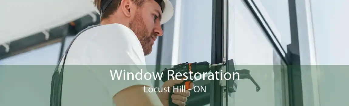 Window Restoration Locust Hill - ON