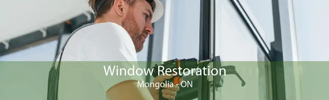 Window Restoration Mongolia - ON