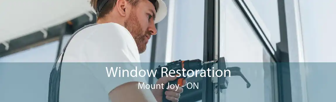 Window Restoration Mount Joy - ON