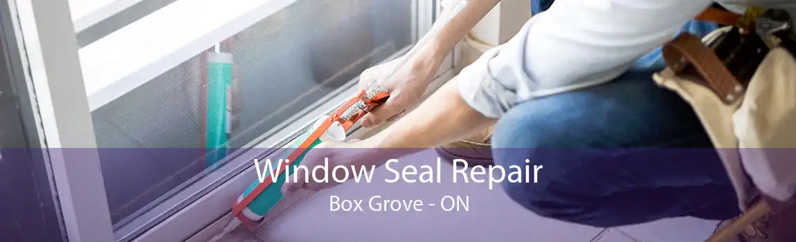 Window Seal Repair Box Grove - ON