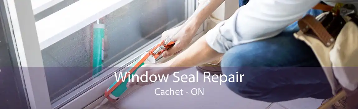 Window Seal Repair Cachet - ON