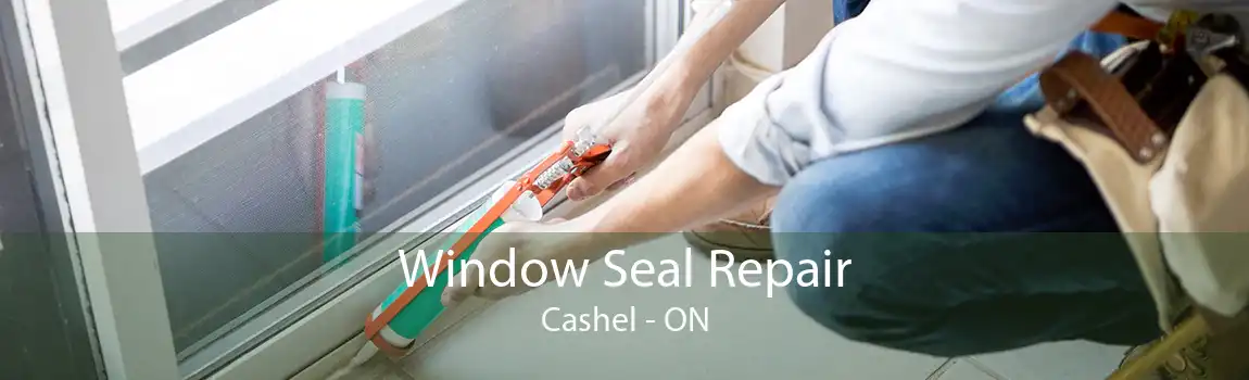 Window Seal Repair Cashel - ON