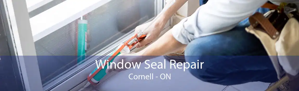 Window Seal Repair Cornell - ON