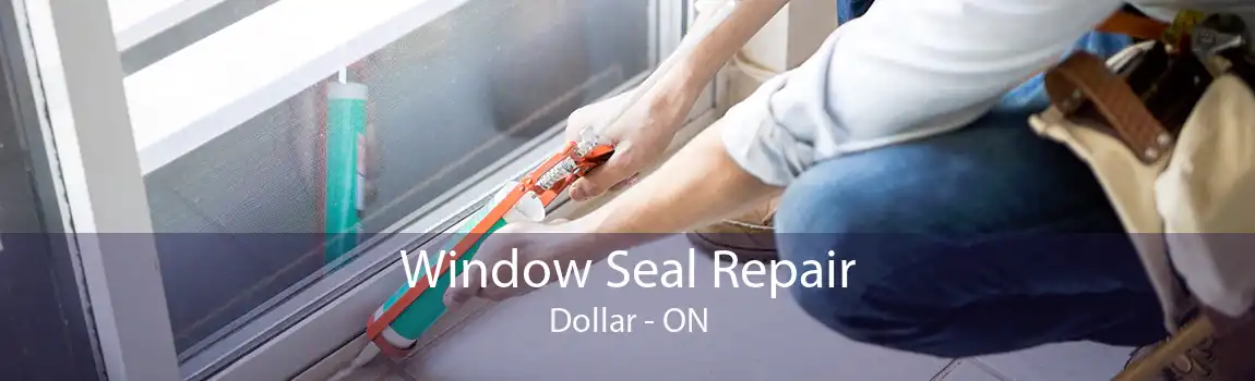 Window Seal Repair Dollar - ON