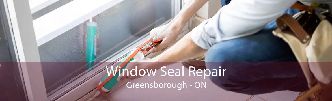 Window Seal Repair Greensborough - ON