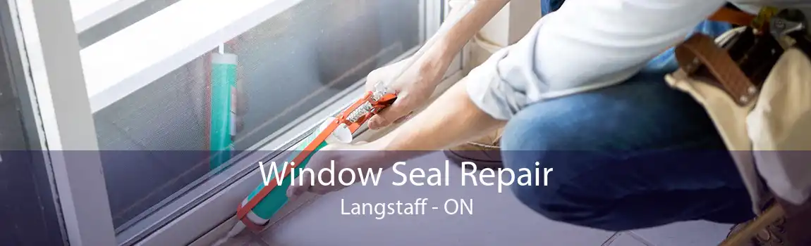 Window Seal Repair Langstaff - ON