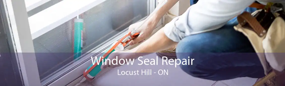 Window Seal Repair Locust Hill - ON
