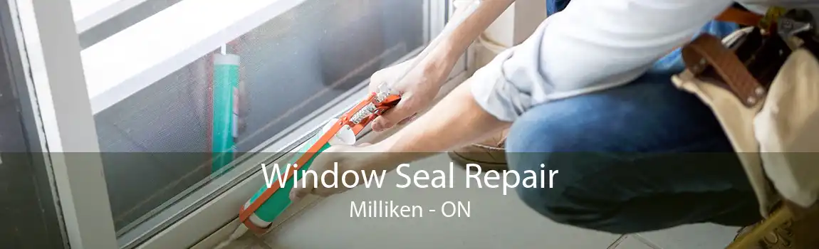 Window Seal Repair Milliken - ON
