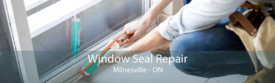 Window Seal Repair Milnesville - ON
