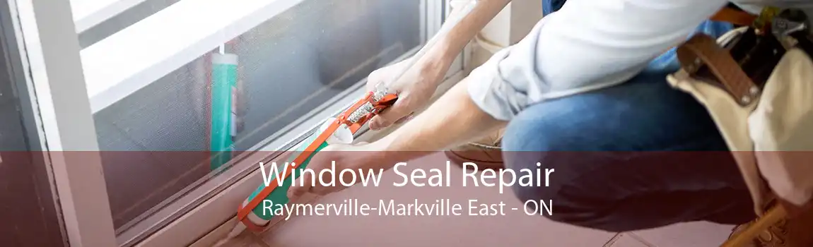 Window Seal Repair Raymerville-Markville East - ON
