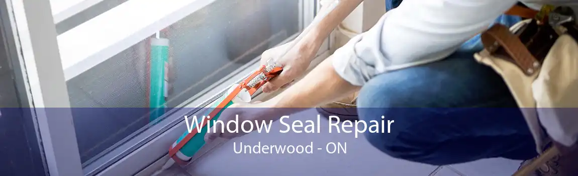 Window Seal Repair Underwood - ON