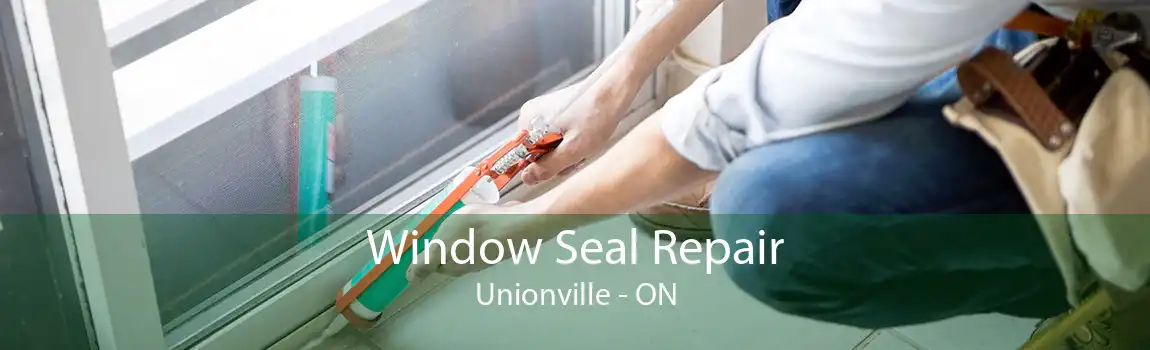 Window Seal Repair Unionville - ON